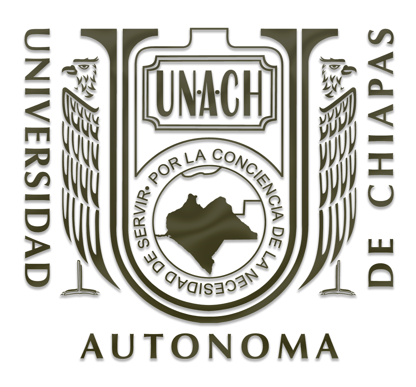 Logo UNACH